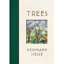 Hermann Hesse 書籍 洋書　セット 61iSmE+peaL._AC_UL210_SR210,